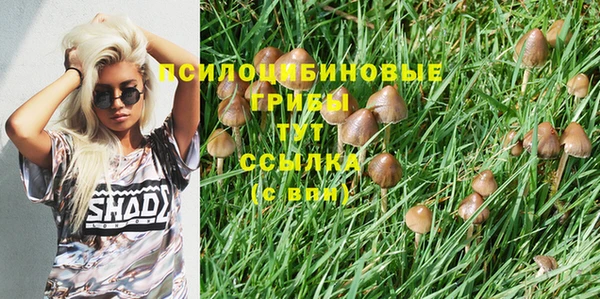 мет Верея