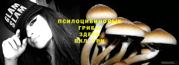 ГАЛЛЮЦИНОГЕННЫЕ ГРИБЫ Верхнеуральск