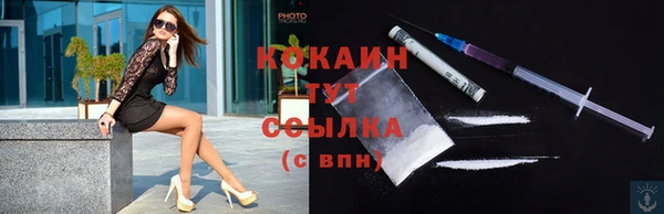 гидра Верхний Тагил