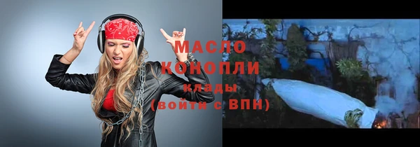 гидра Верхний Тагил