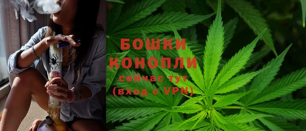 гидра Верхний Тагил