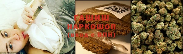 гидра Верхний Тагил